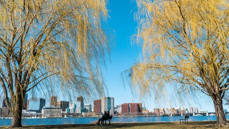Aer Lingus Airlines Boston Office Address