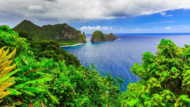 Air New Zealand Samoa Office Address