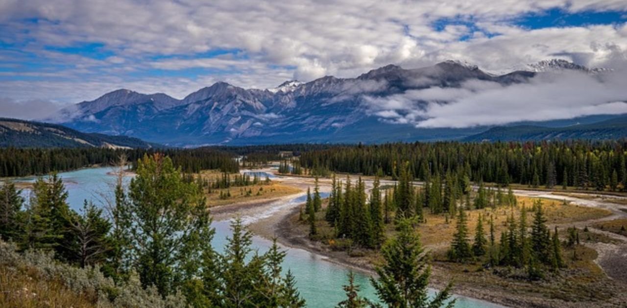 Air Transat Alberta Office Address
