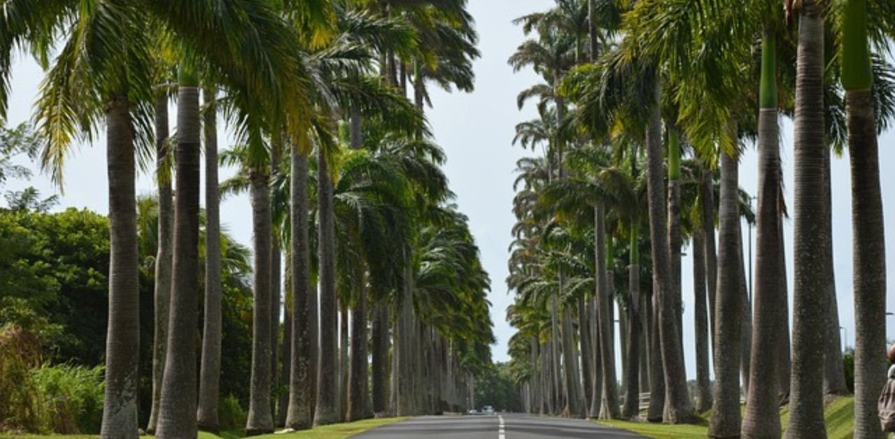 Air Transat Guadeloupe Office Address
