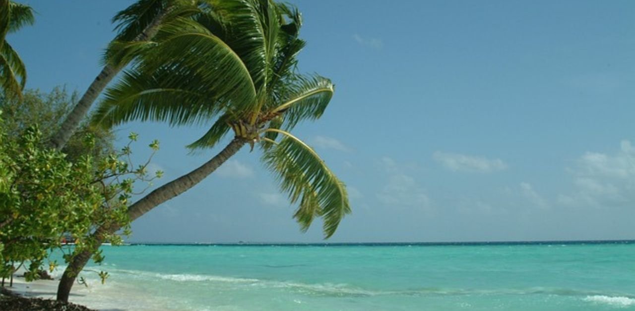 Air Transat Maldives Office Address