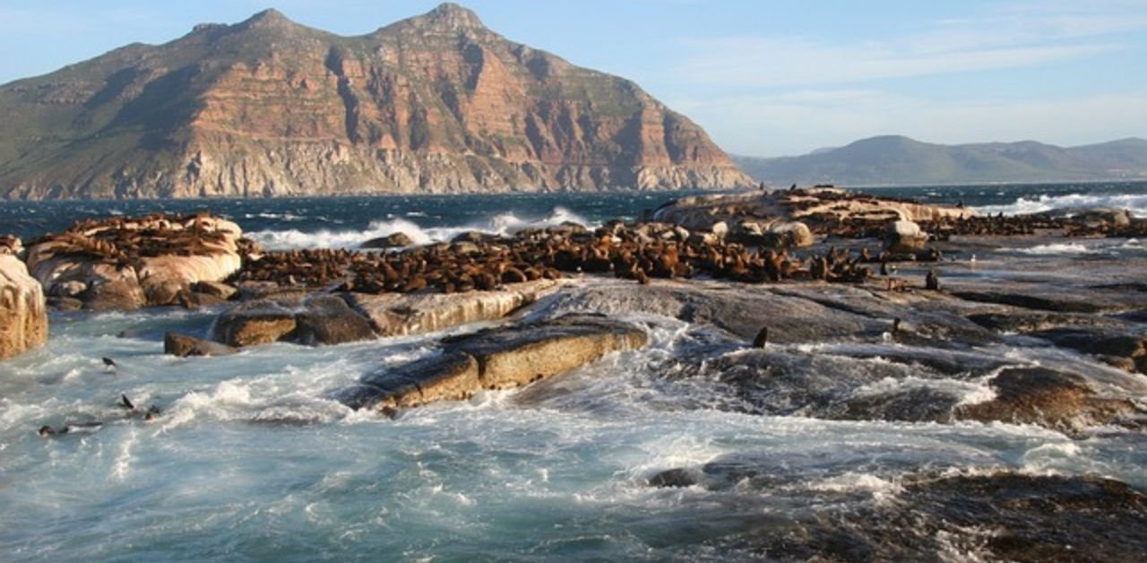 Air Transat South Africa Office Address