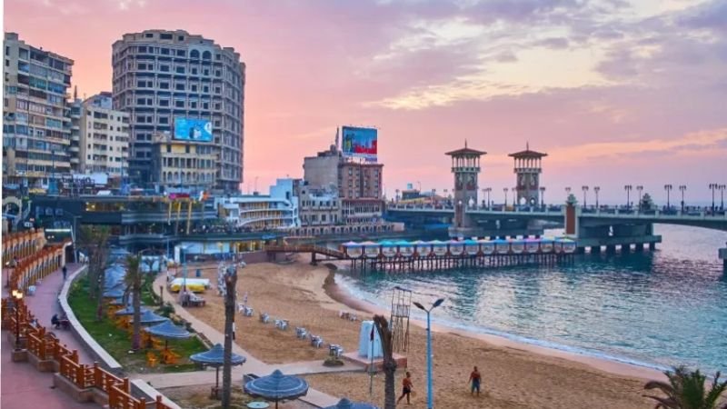 Hong Kong Express Alexandria Office in Egypt