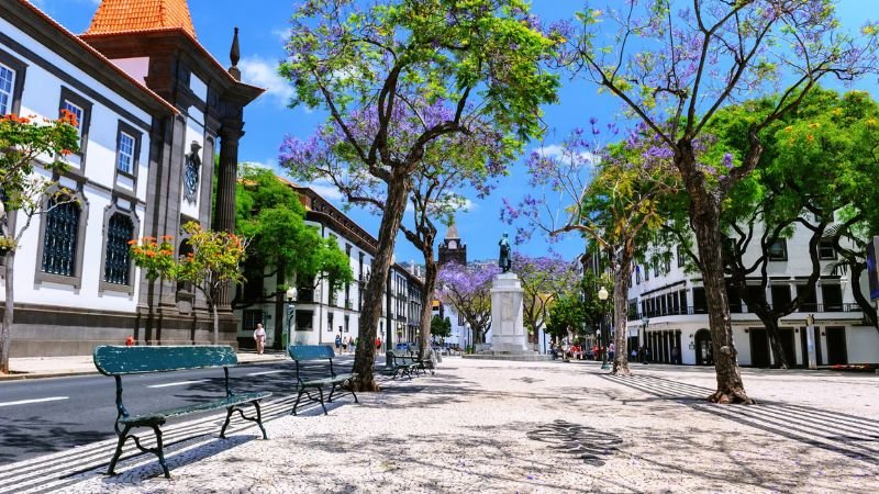 Iberia Airlines Funchal Office Address