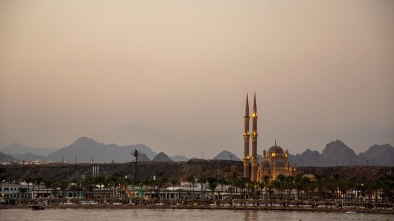 FlyEgypt Sharm El Sheikh Office Address