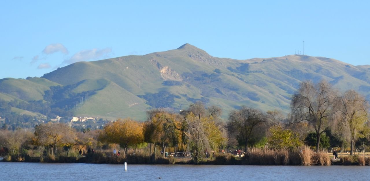 Egyptair Airlines Fremont Office in California